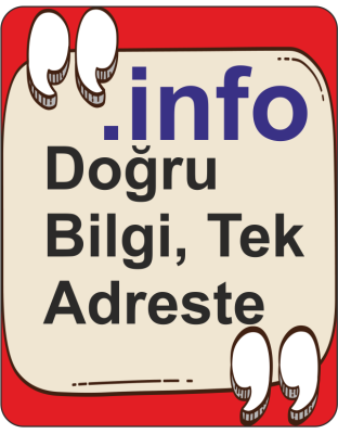 Domain Kaydı (.info)