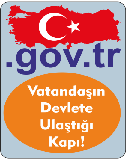 Domain Kaydı (.gov.tr)