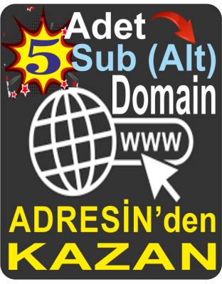 Domain Kaydı