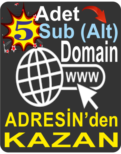 Domain Kaydı