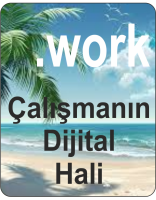 Domain Kaydı (.work)